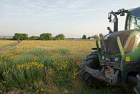 Blühfläche mit Traktor